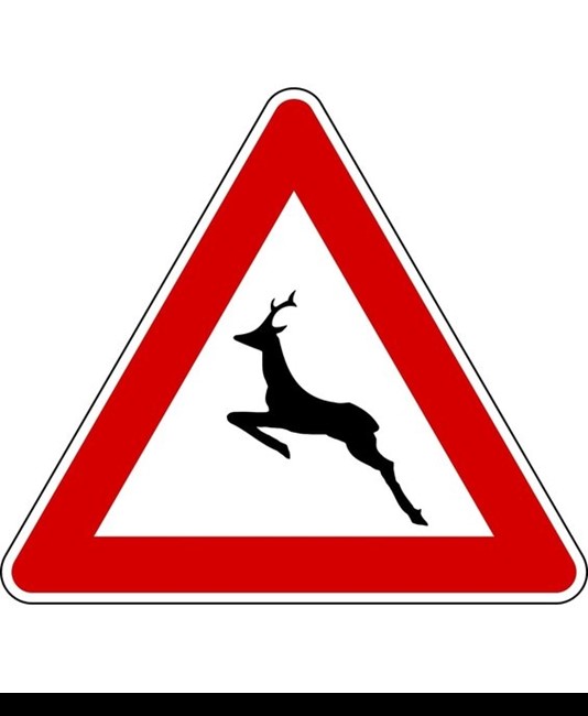 Cartello stradale pericolo animali selvatici